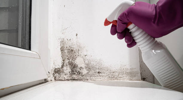 Step-by-Step Water Damage Restoration Procedure